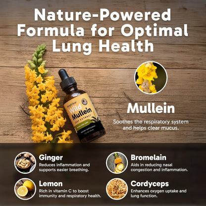 RespiClear - Premium Mullein Extrac